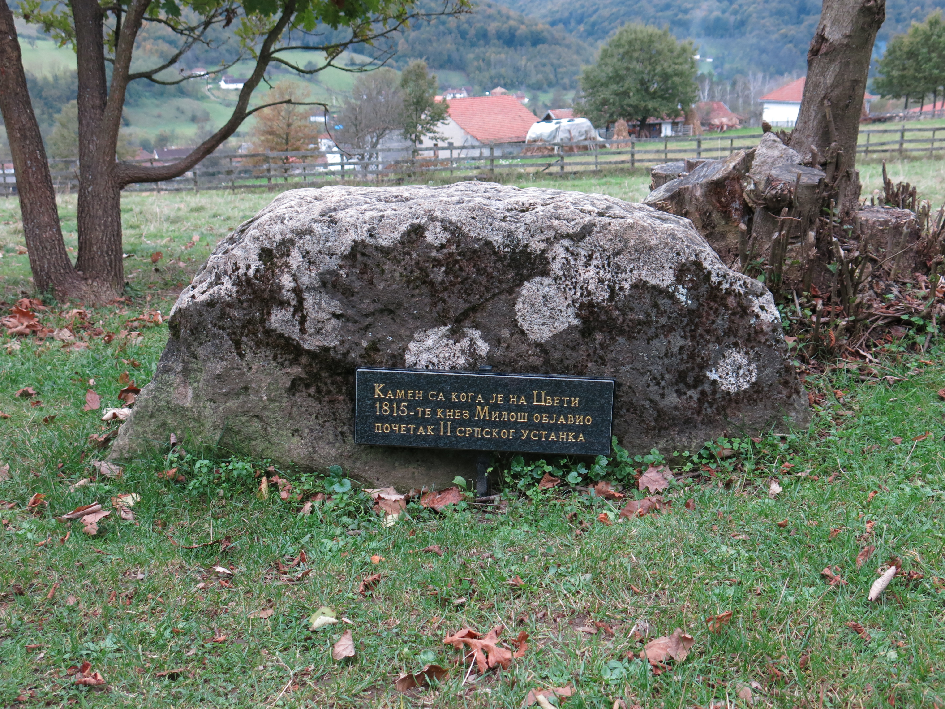 Obeležena godišnjica početka Drugog srpskog ustanka u Takovu