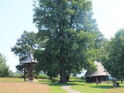 Crkva brvnara u Takovu Šumadija Takovo, Ustanak