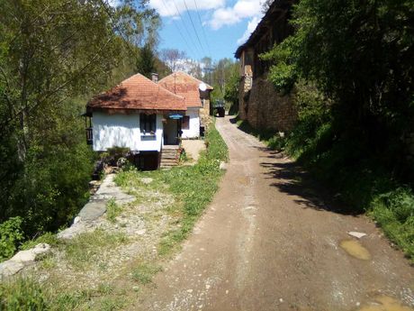 Gostuša Gostuša