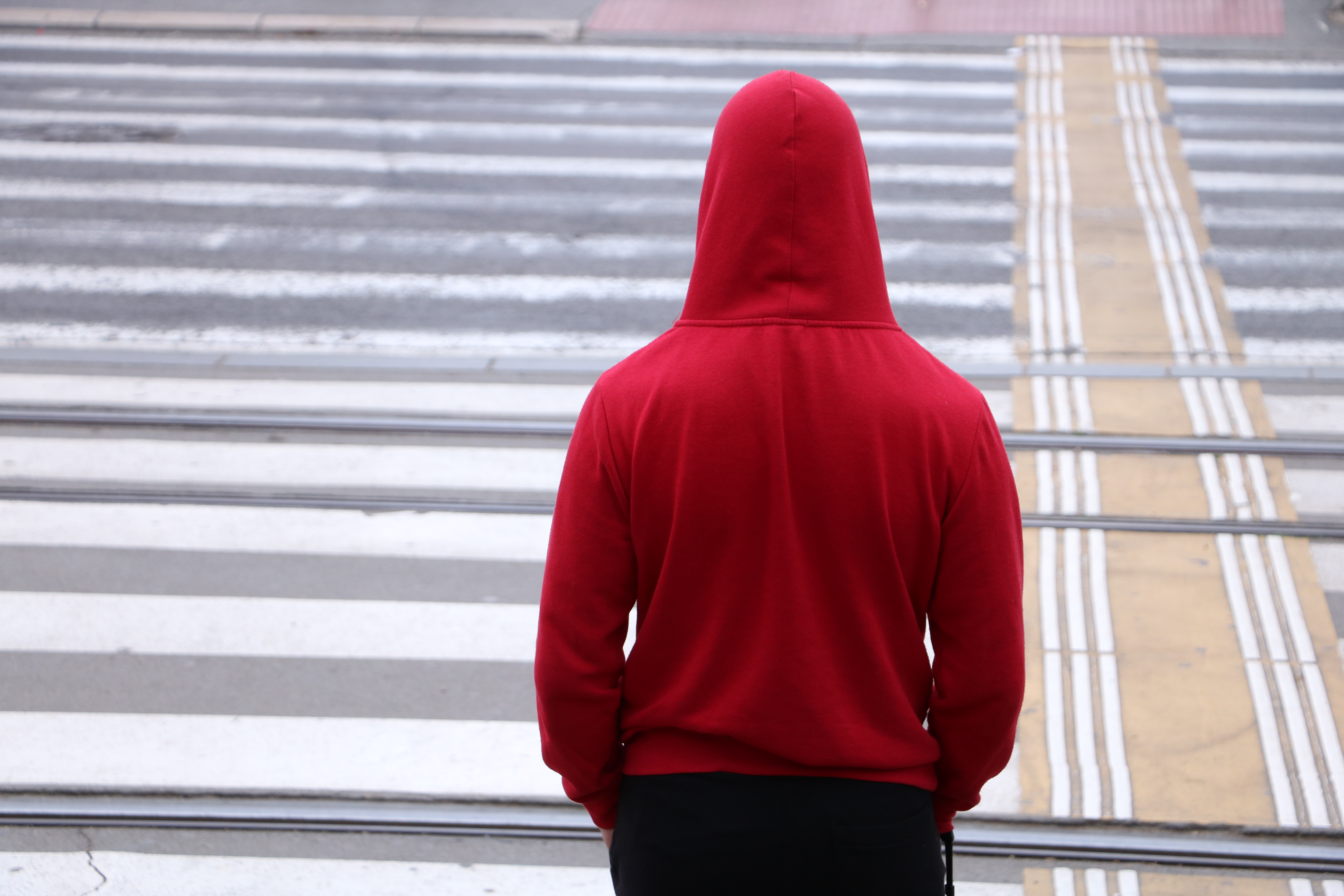 "Novosadski pešaci kao da imaju 9 života" Ova vožnja bila je baš stresna!