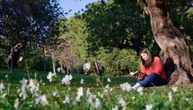Književne vikend ideje: 7 klasika koji se čitaju u jednom dahu