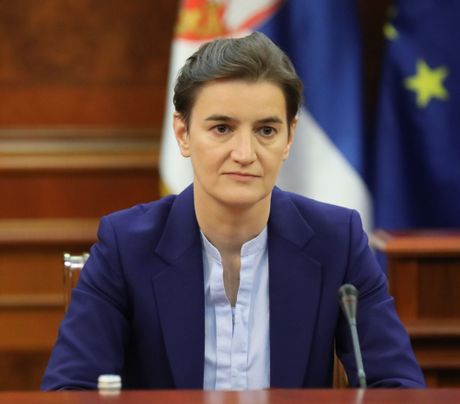 Ana Brnabic, Bocan Harcenko Ana Brnabic, Bocan Harcenko