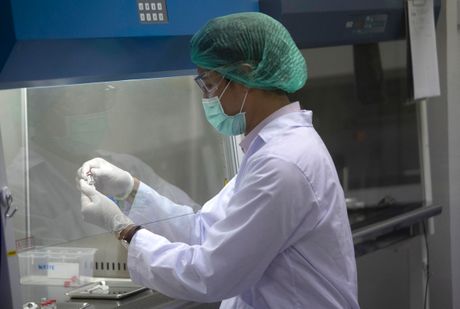korona virus, koronavirus, vakcina, testiranje tajland korona virus, koronavirus, vakcina, testiranje tajland