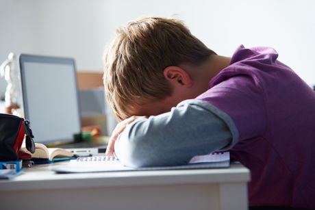 cyber bullying, Deca, računar, kompjuter, internet, Škola,Nasilje, Pedofilija, Nasilje nad decom cyber bullying, Deca, računar, kompjuter, internet, Škola,Nasilje, Pedofilija, Nasilje nad decom