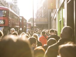 Montreal, London, Sidnej