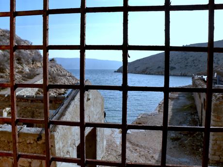 Goli otok