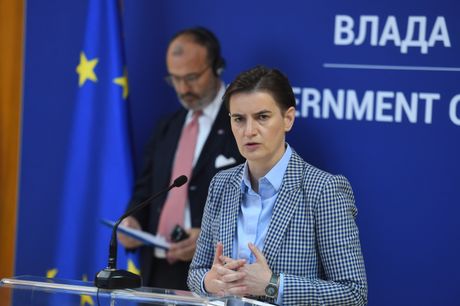 Ana Brnabić, Sem Fabrici Ana Brnabić, Sem Fabrici