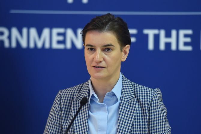 Ana Brnabić, Sem Fabrici