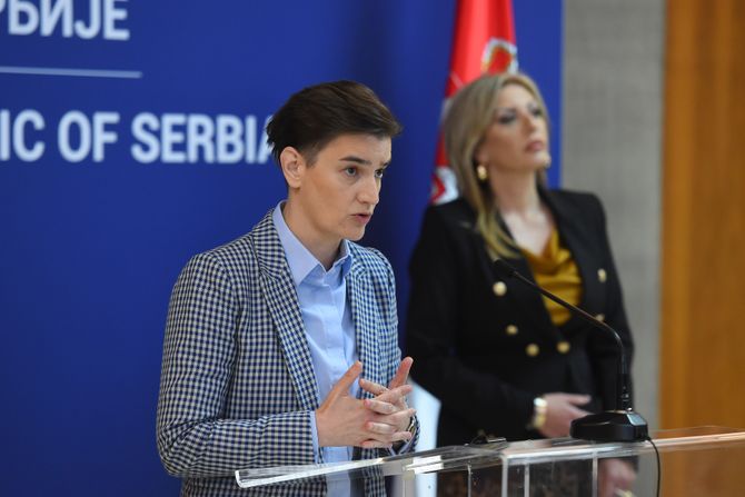 Ana Brnabić, Sem Fabrici