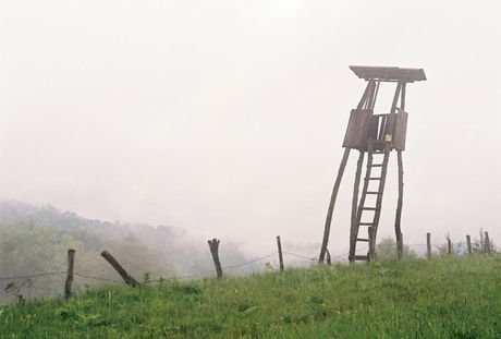 Povlen