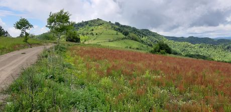 Povlen Povlen
