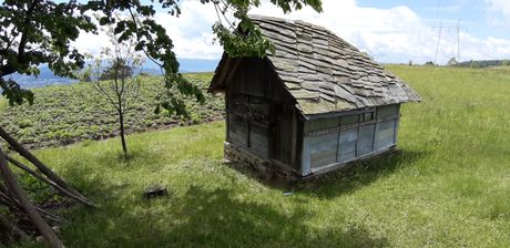 Povlen