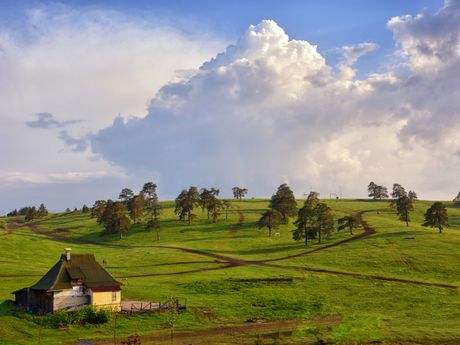 Zlatibor planina, selo, seoski turizam, priroda lepota pejzaž