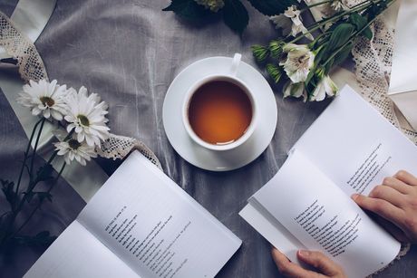 Knjiga, knjige, čitanje, poezija, cveće, čaj Knjiga, knjige, čitanje, poezija, cveće, čaj