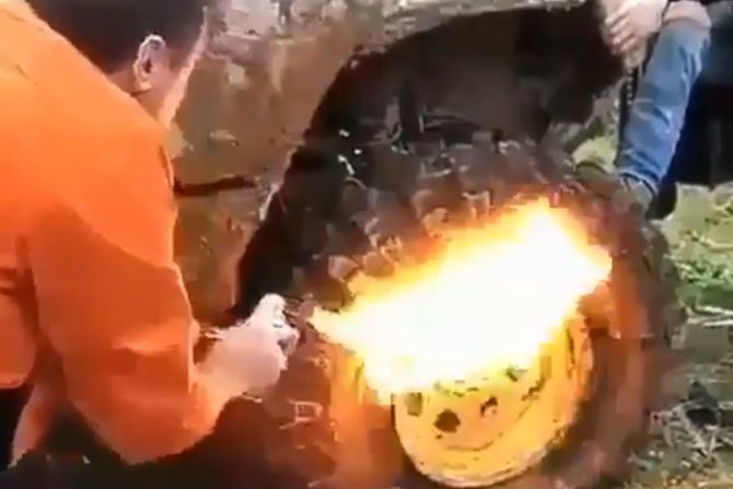 Guma Vatra Guma Vatra