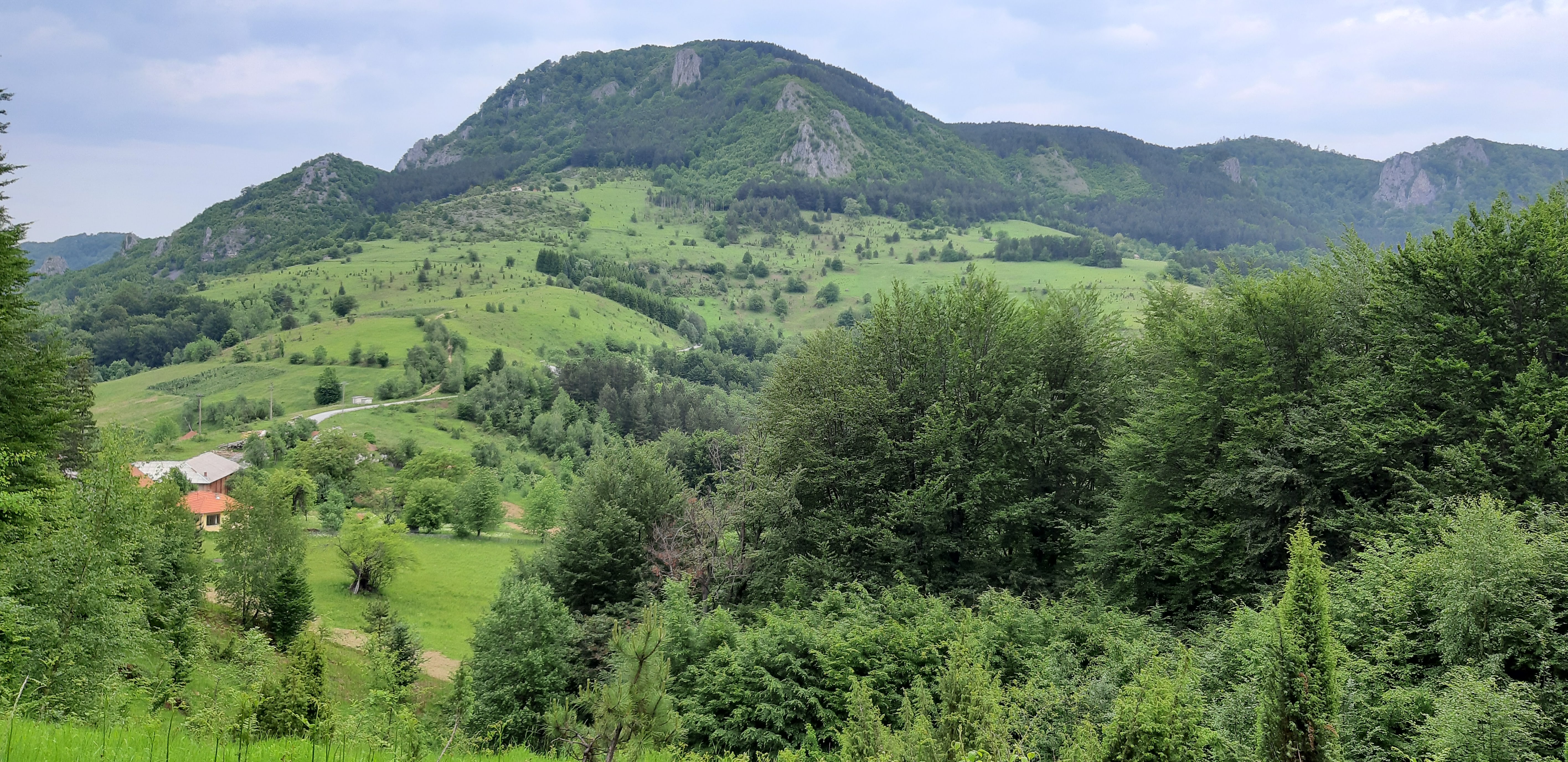 Čudo prirode pronađeno na ovoj planini u Srbiji: Ovakvog stvora niste videli, preti mu ISTREBLJENJE