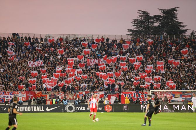 Navijači Crvene zvezde, Delije