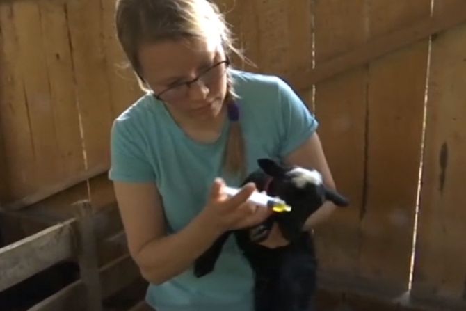 Mia Tadić Valjevo farma ovaca