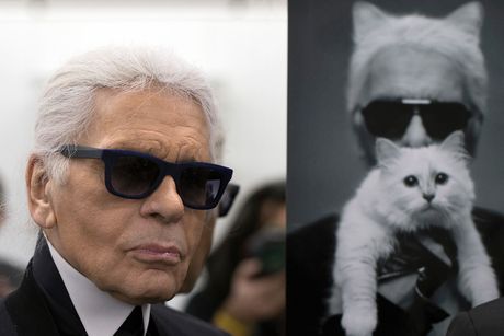 Karl Lagerfild Karl Lagerfild