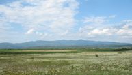 Prema legendi, za bogat biljni svet jedne od najstarijih planina u Srbiji zasluge pripadaju jednom jastrebu