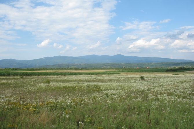 Jastrebac Jastrebac