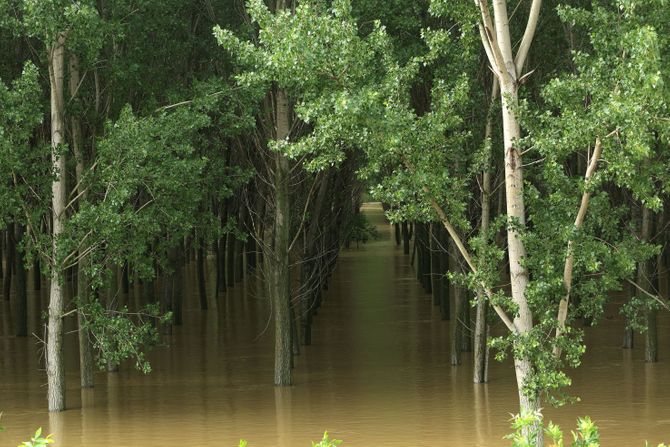 Poplave, izlivanje reka