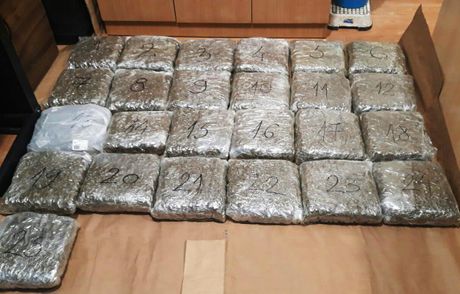 Zaplena, marihuana Zaplena, marihuana