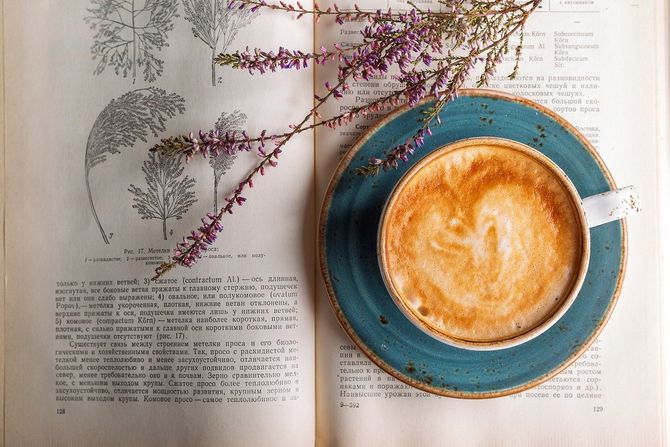 Kafa, šolja, knjiga, čitanje, cveće Kafa, šolja, knjiga, čitanje, cveće