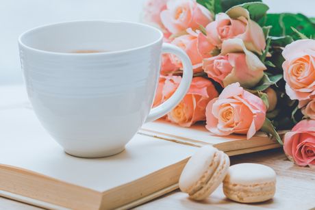 Kafa, šolja, knjiga, čitanje, cveće Kafa, šolja, knjiga, čitanje, cveće