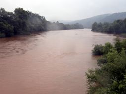 Poplave, kiša, reka, Velika Morava, rast vodostaja, Pomoravlje, most
