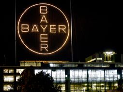 Bayer, kompanija, logo