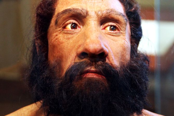 Neandertalci, Neandertalac, Homo neanderthalensis, Praistorija, Praistorijski čovek, Praistorijski ljudi Neandertalci, Neandertalac, Homo neanderthalensis, Praistorija, Praistorijski čovek, Praistorijski ljudi
