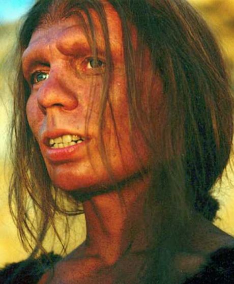 Neandertalci, Neandertalac, Homo neanderthalensis, Praistorija, Praistorijski čovek, Praistorijski ljudi Neandertalci, Neandertalac, Homo neanderthalensis, Praistorija, Praistorijski čovek, Praistorijski ljudi