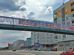 Balkanski navijaci - Crveni Djavoli u Smederevu FK Železničar Pančevo 1:3  FK Radnički 1923, srijeda, 25.05.2022.