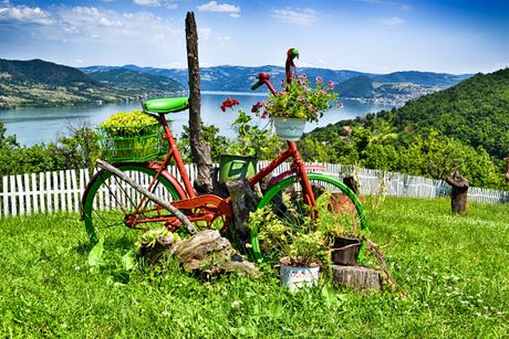 Dunav, reka, bicikl, cveće
