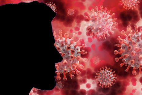 korona virus covid19 korona virus covid19