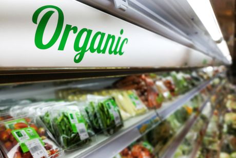 Organska hrana pijaca povrce Organic vegetable supermarket