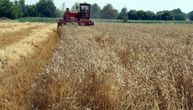 Stranci sve više traže ovaj srpski proizvod: Za 3 meseca preko granice otišlo 326.000 tona, u Italiju najviše