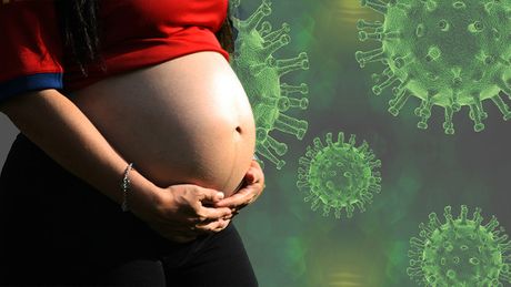 Trudnica, trudna žena, korona virus