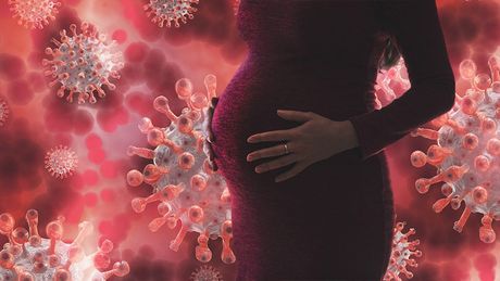 Trudnica, trudna žena, korona virus