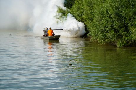 JKP Gradska čistoća, komarci, prskanje