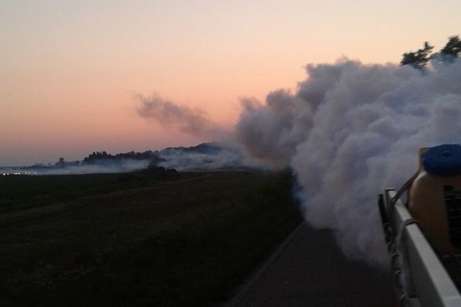 JKP Gradska čistoća, komarci, prskanje