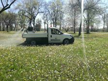 JKP Gradska čistoća, komarci, prskanje