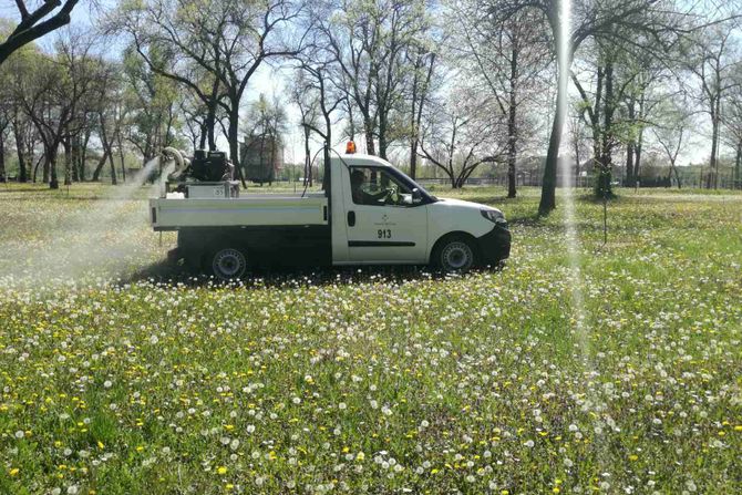 JKP Gradska čistoća, komarci, prskanje