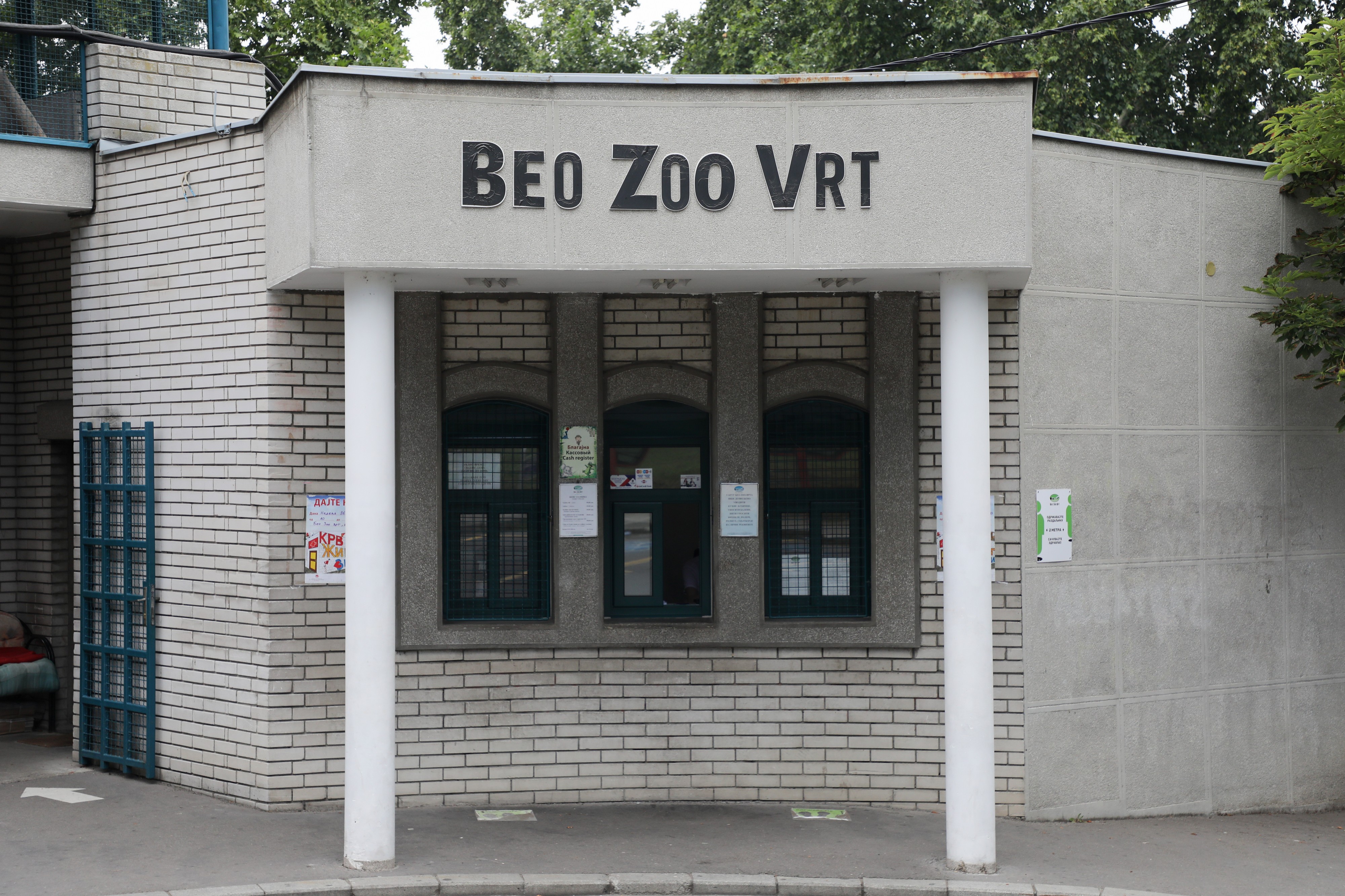 Prestonica je dobila najslađu zvezdu: Vredi pravo bogatstvo, a pogled na nju će vas totalno razoružati