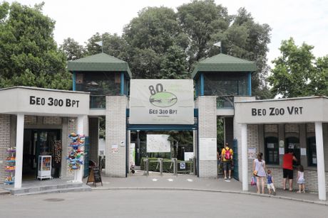 Beo Zoo Vrt Beo Zoo Vrt