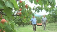 OVAJ POSAO SADA KIDA: Davor od ove biljke živi kao kralj - za mesec dana 25 hiljada evra u džep!