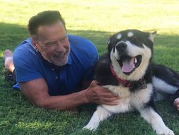 Arnold Švarceneger i pas Dač