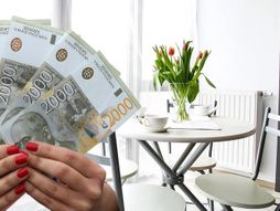 Izdavanje stana, apartmani, stanovi, kuća, novogradnja, izdavanje, smeštaj, rentiranje