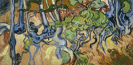 Vincent van Gogh - Tree Roots and Trunks, Vinsent van Gog Vincent van Gogh - Tree Roots and Trunks, Vinsent van Gog